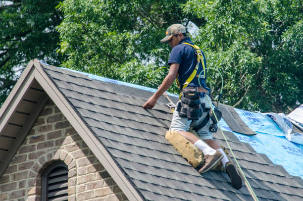 Roof Gutter Cleaning in Sherwood, AR